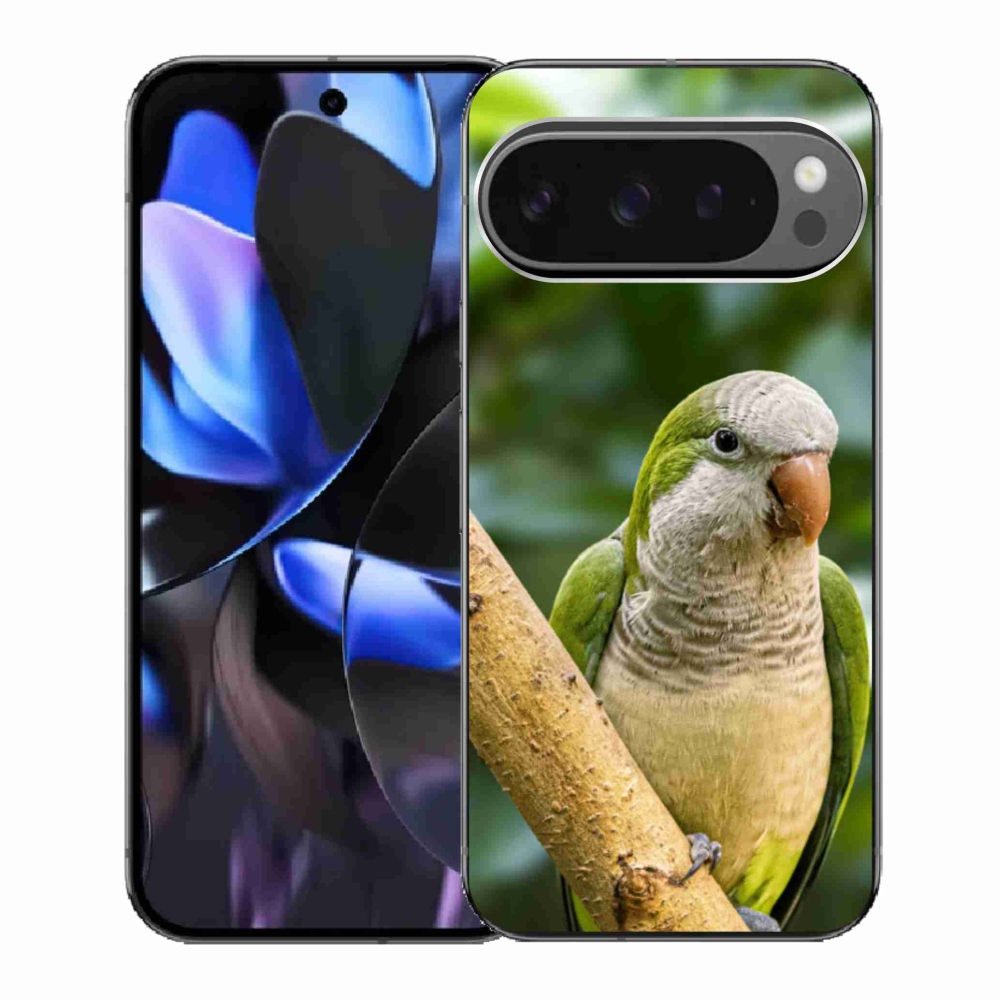Gelový kryt mmCase na Google Pixel 9 Pro - papoušek mníšek