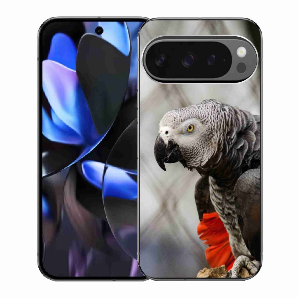Gelový kryt mmCase na Google Pixel 9 Pro - papoušek žako 3