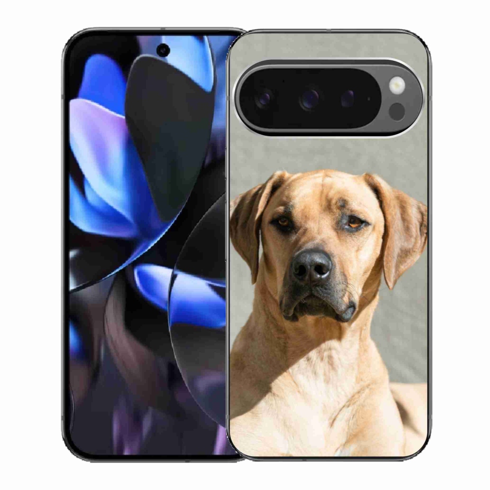 Gelový kryt mmCase na Google Pixel 9 Pro - ridgeback