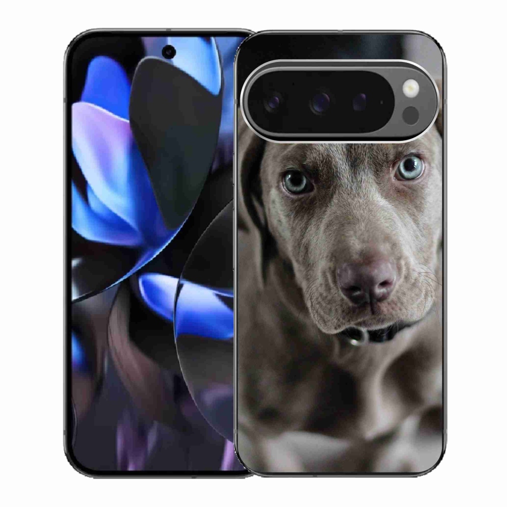 Gelový kryt mmCase na Google Pixel 9 Pro - výmarský ohař