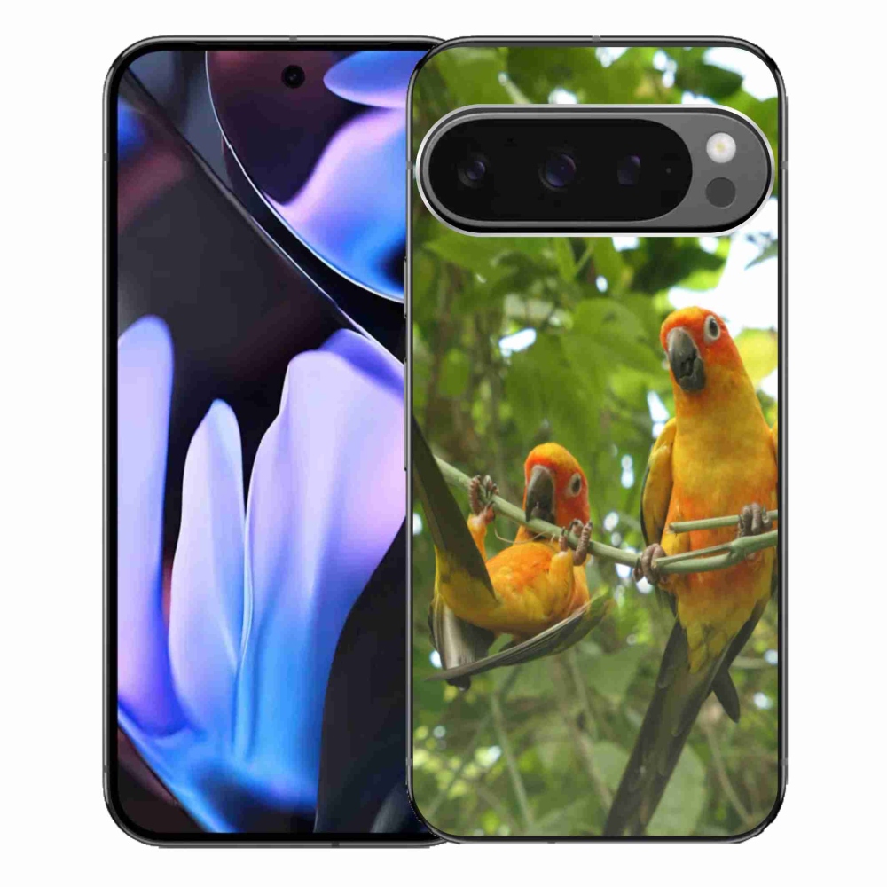 Gelový kryt mmCase na Google Pixel 9 Pro XL - papoušci aratingy