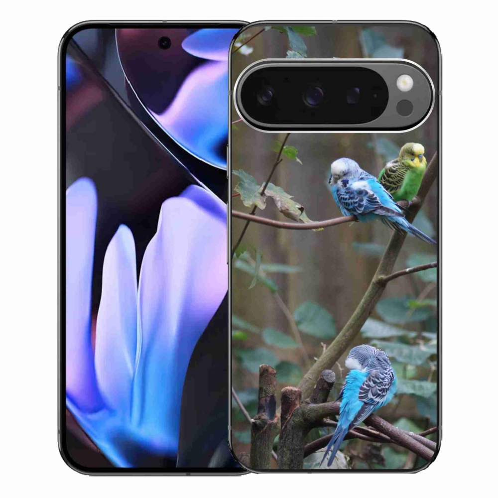 Gelový kryt mmCase na Google Pixel 9 Pro XL - papoušci na větvi