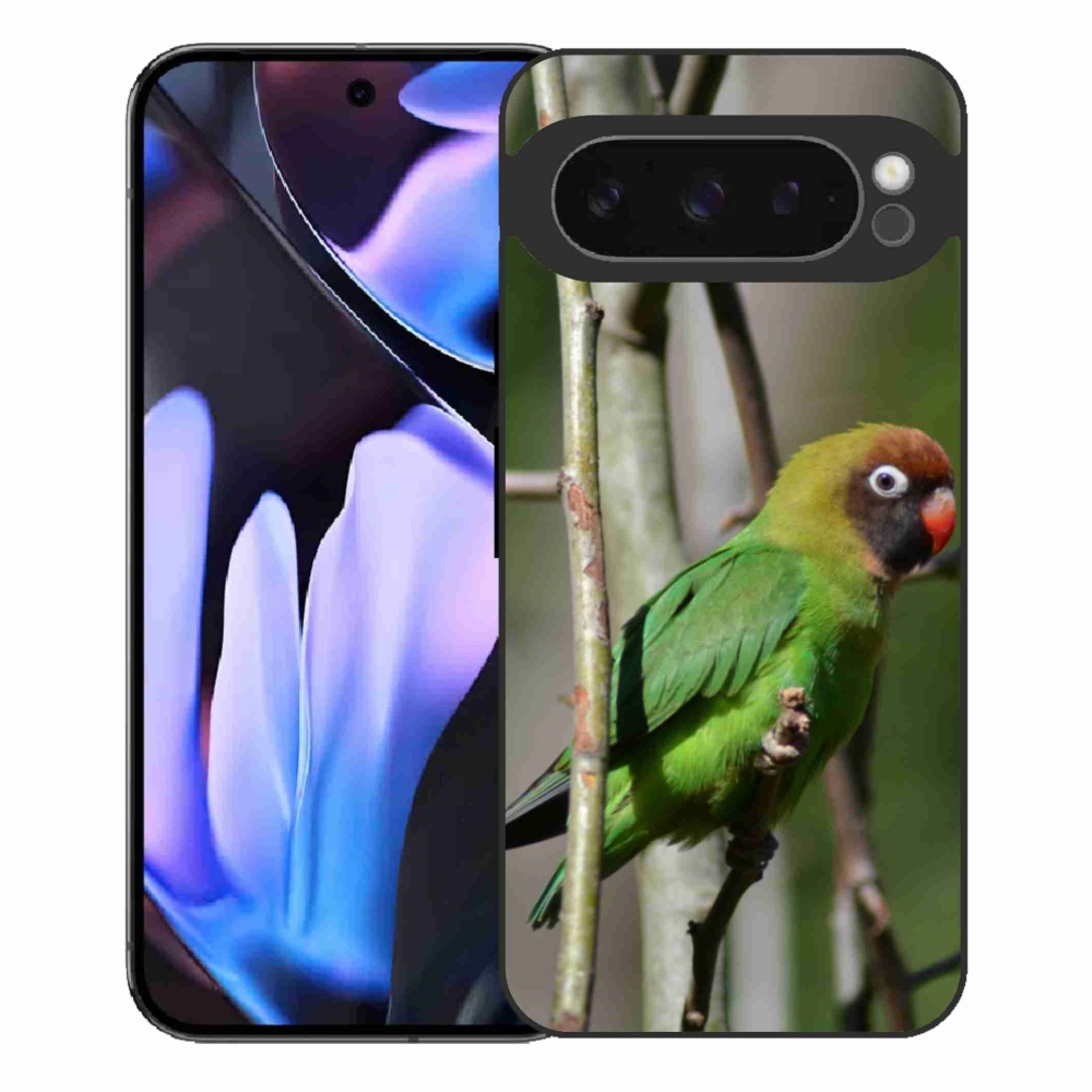 Gelový kryt mmCase na Google Pixel 9 Pro XL - papoušek agapornis