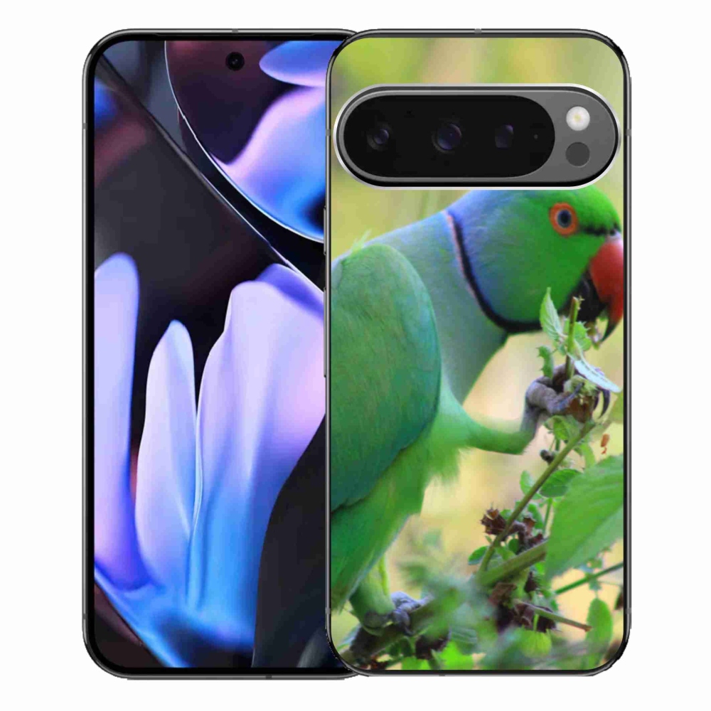 Gelový kryt mmCase na Google Pixel 9 Pro XL - papoušek alexandr