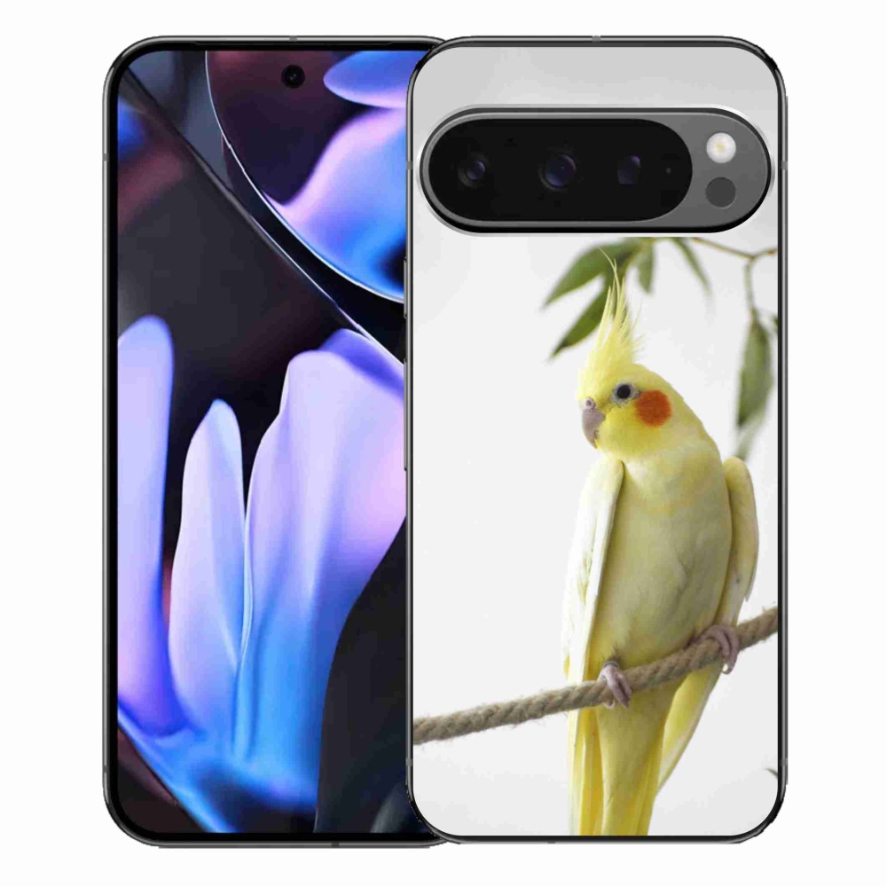 Gelový kryt mmCase na Google Pixel 9 Pro XL - papoušek korela chocholatá