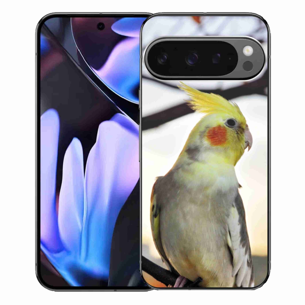 Gelový kryt mmCase na Google Pixel 9 Pro XL - papoušek korela