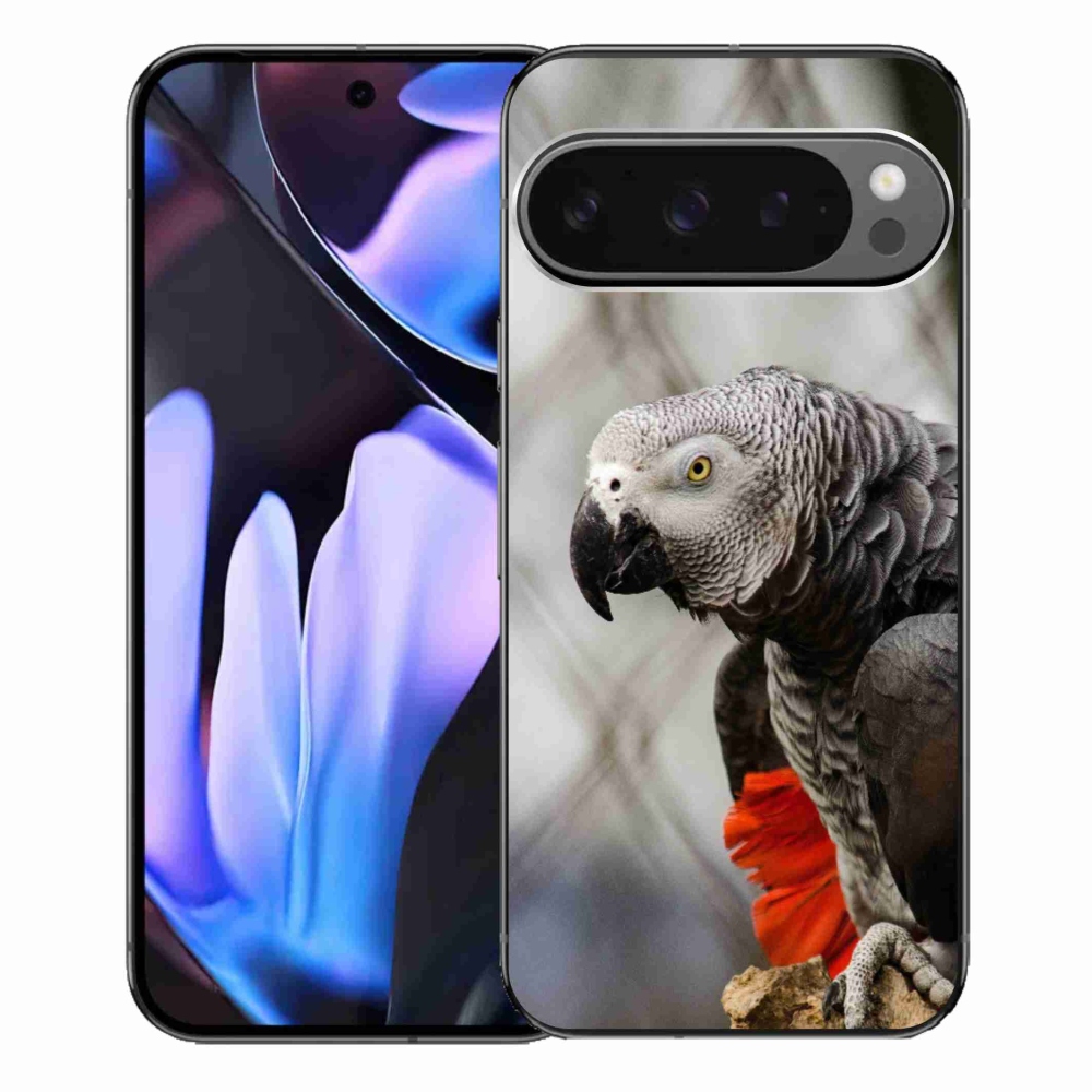 Gelový kryt mmCase na Google Pixel 9 Pro XL - papoušek žako 3