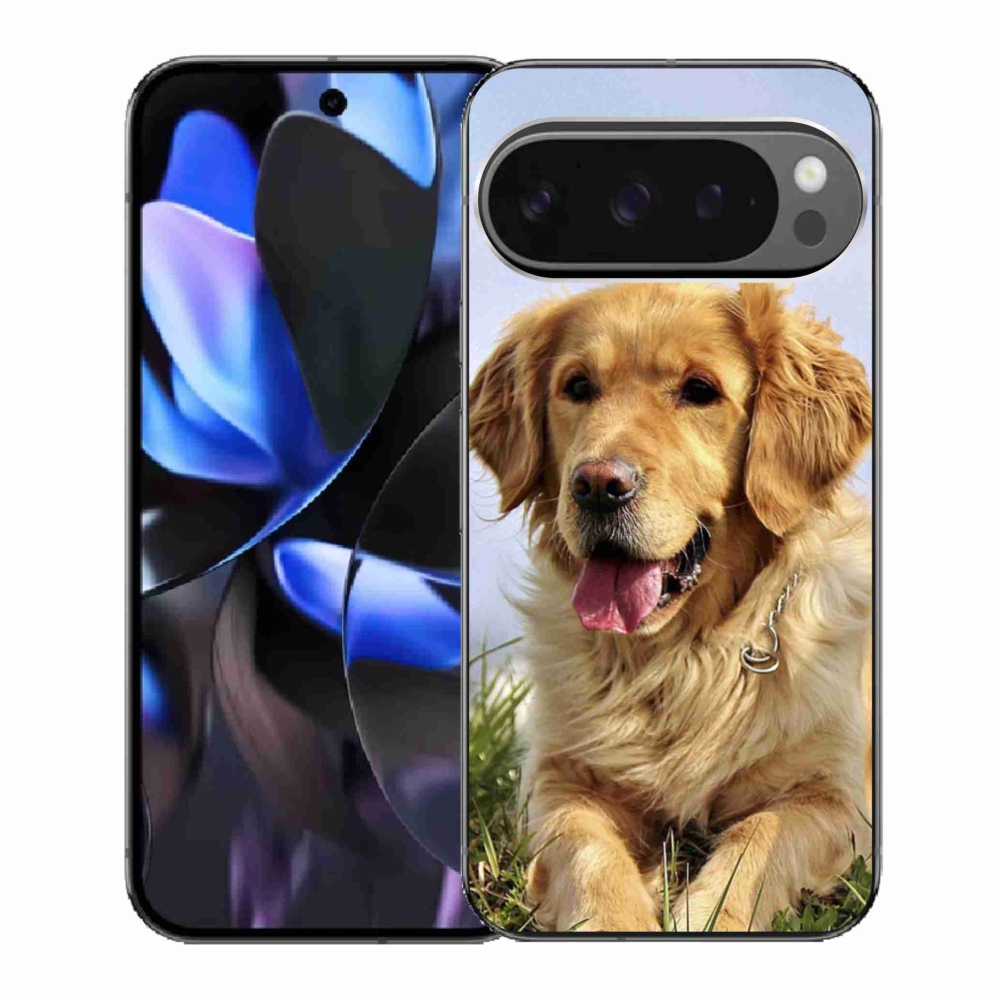 Gelový kryt mmCase na Google Pixel 9 Pro - zlatý retrívr