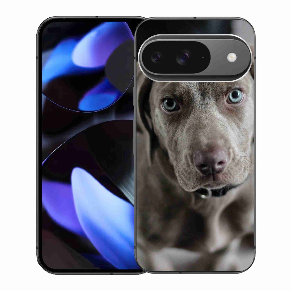 Gelový kryt mmCase na Google Pixel 9 - výmarský ohař