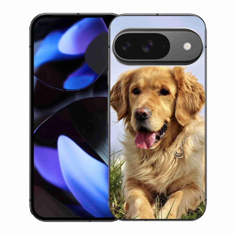 Gelový kryt mmCase na Google Pixel 9 - zlatý retrívr