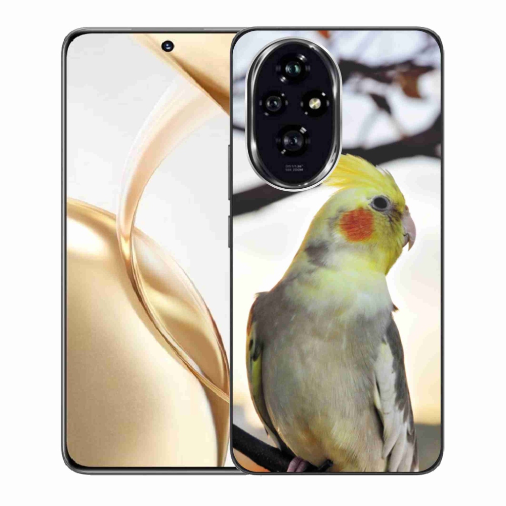 Gelový kryt mmCase na Honor 200 5G - papoušek korela