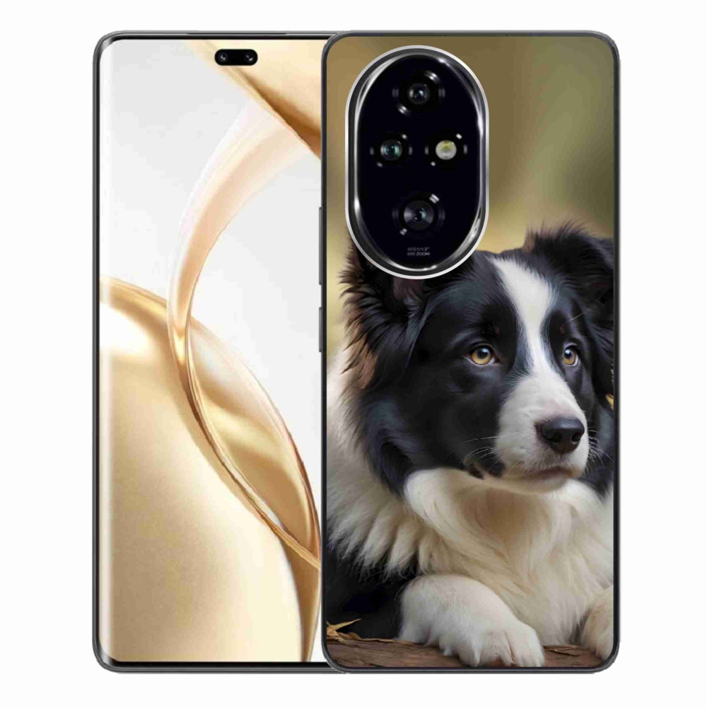 Gelový kryt mmCase na Honor 200 Pro 5G - border kolie 2