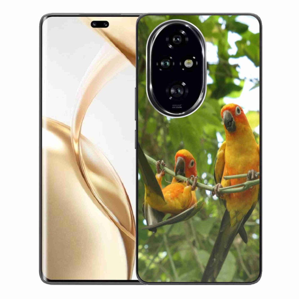 Gelový kryt mmCase na Honor 200 Pro 5G - papoušci aratingy