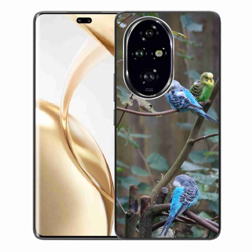 Gelový kryt mmCase na Honor 200 Pro 5G - papoušci na větvi