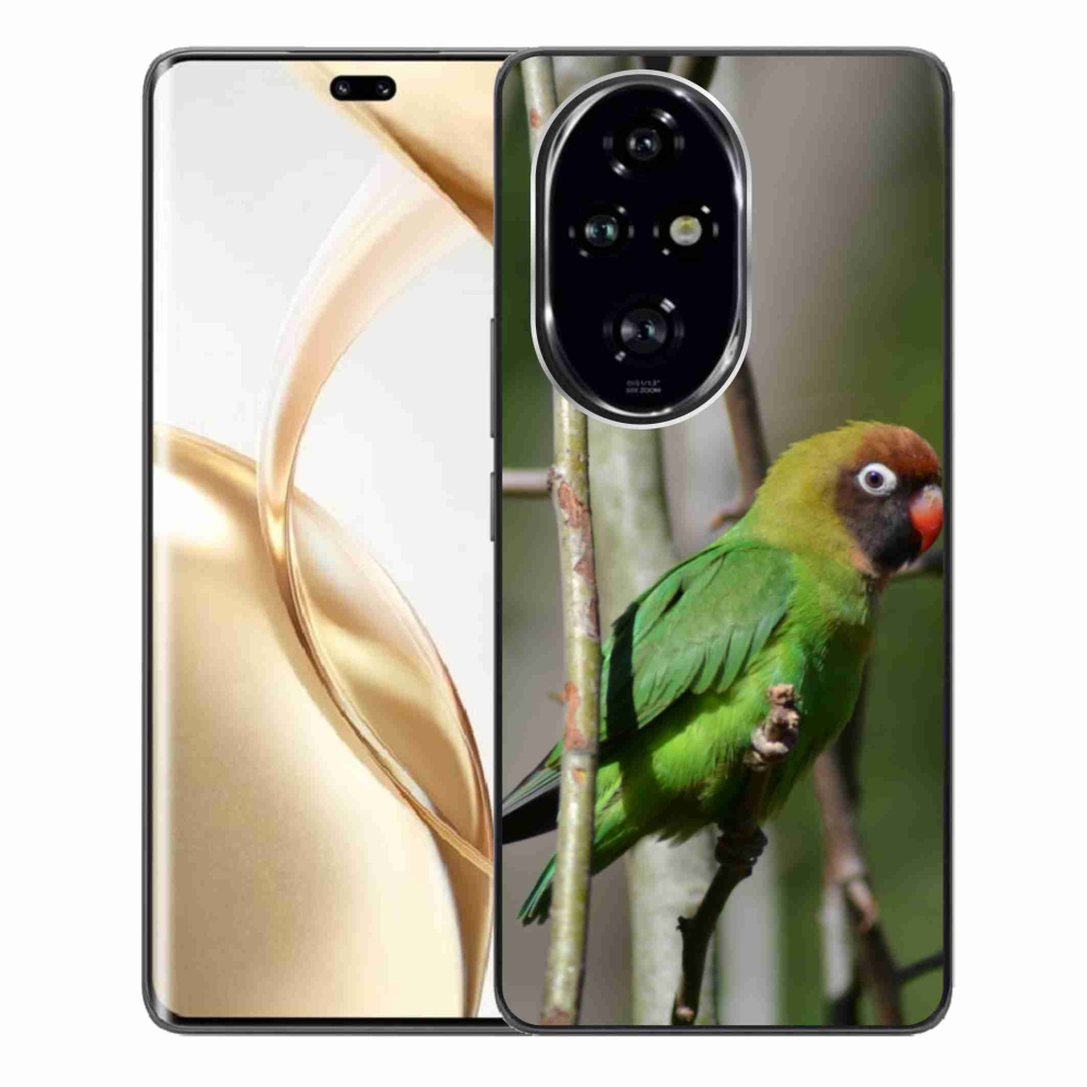 Gelový kryt mmCase na Honor 200 Pro 5G - papoušek agapornis