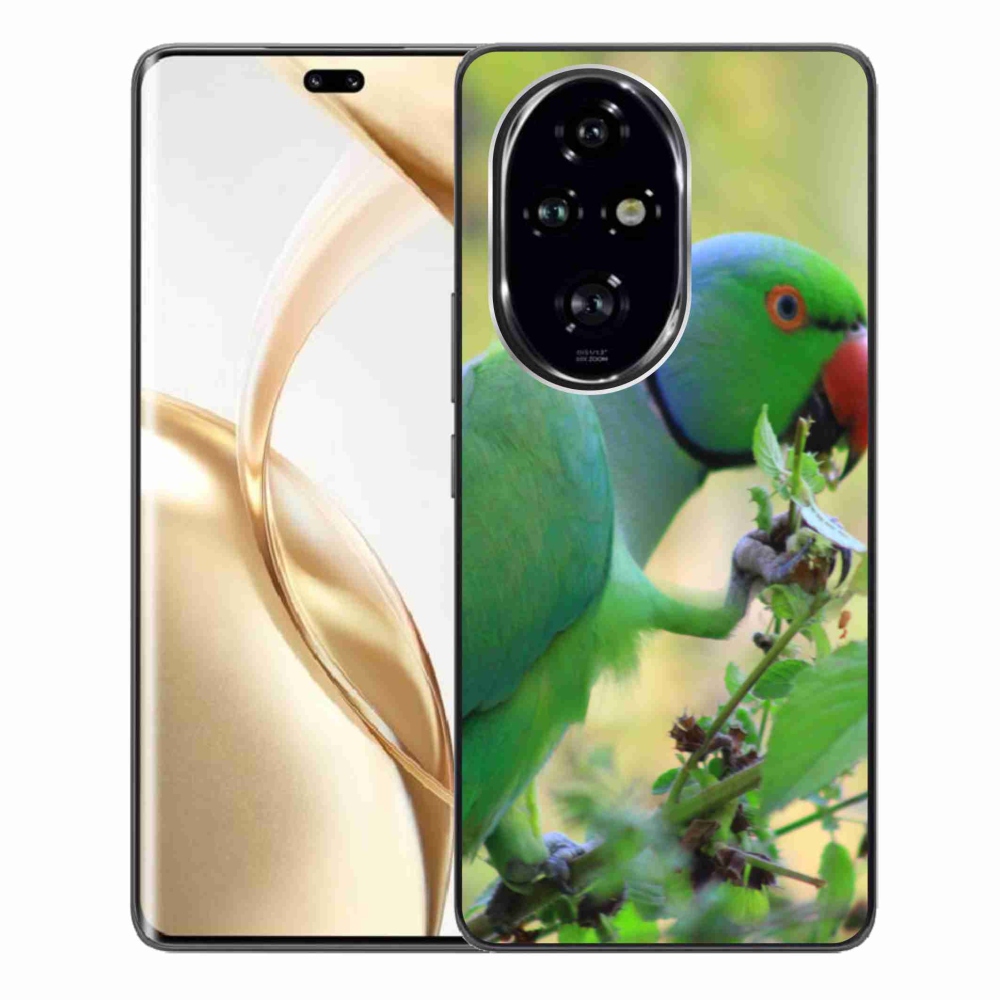 Gelový kryt mmCase na Honor 200 Pro 5G - papoušek alexandr