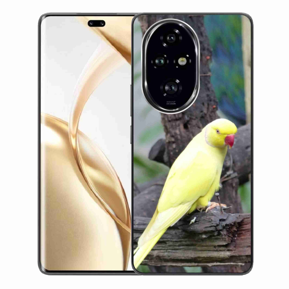Gelový kryt mmCase na Honor 200 Pro 5G - papoušek alexandr žlutý