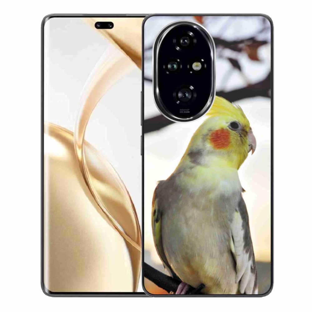 Gelový kryt mmCase na Honor 200 Pro 5G - papoušek korela