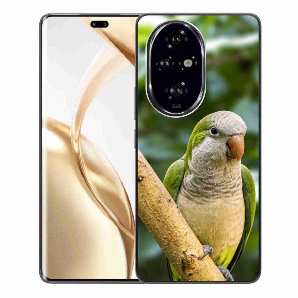 Gelový kryt mmCase na Honor 200 Pro 5G - papoušek mníšek