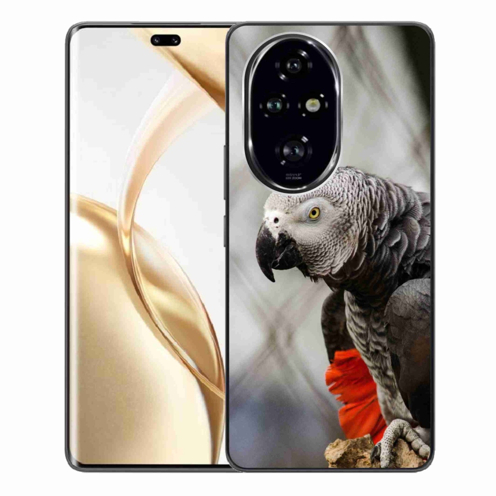 Gelový kryt mmCase na Honor 200 Pro 5G - papoušek žako 3