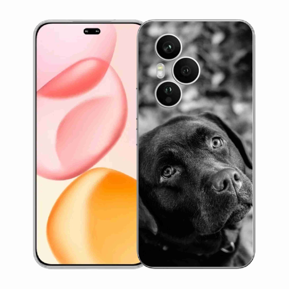 Gelový kryt mmCase na Honor 400 Pro - labrador