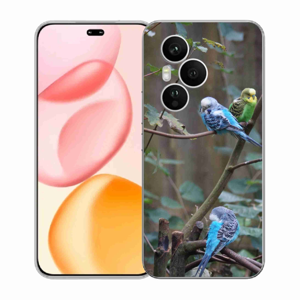 Gelový kryt mmCase na Honor 400 Pro - papoušci na větvi