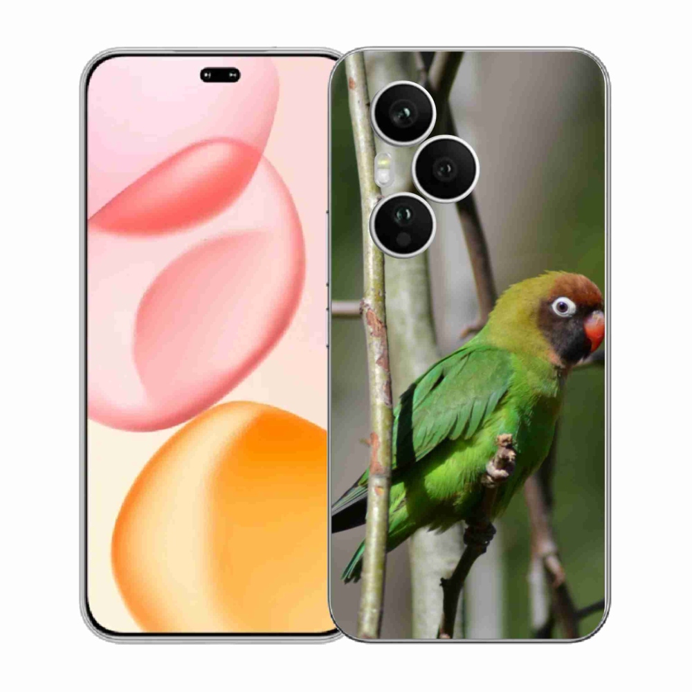 Gelový kryt mmCase na Honor 400 Pro - papoušek agapornis