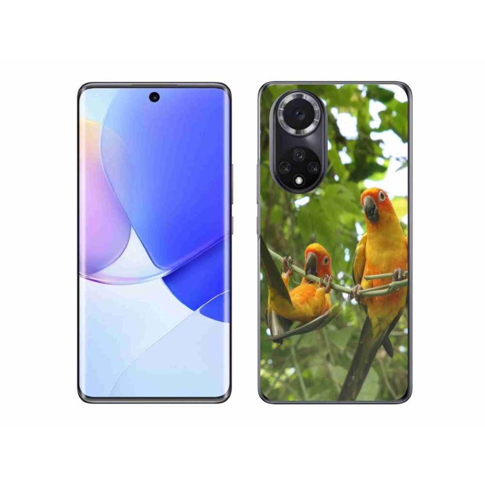 Gelový kryt mmCase na Honor 50 - papoušci aratingy