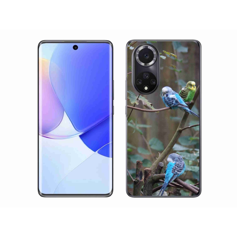 Gelový kryt mmCase na Honor 50 - papoušci na větvi