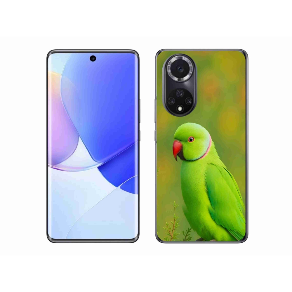 Gelový kryt mmCase na Honor 50 - papoušek alexandr 2