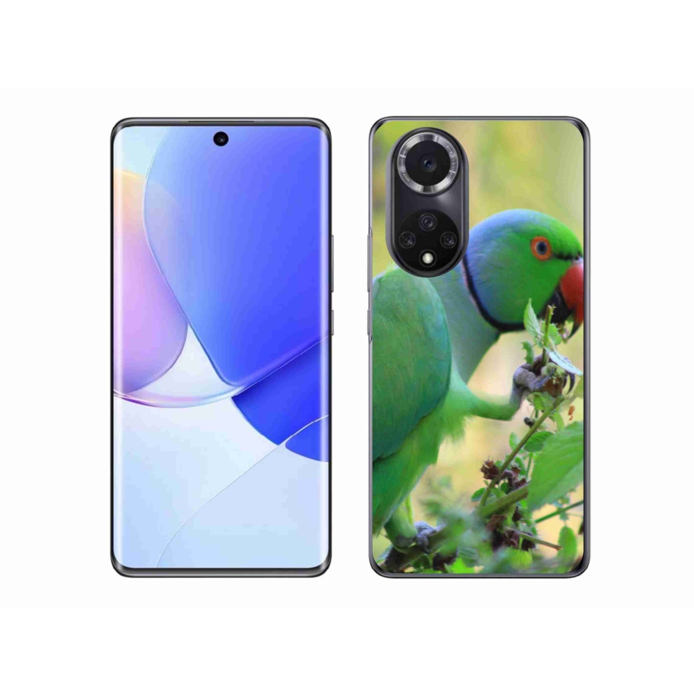 Gelový kryt mmCase na Honor 50 - papoušek alexandr