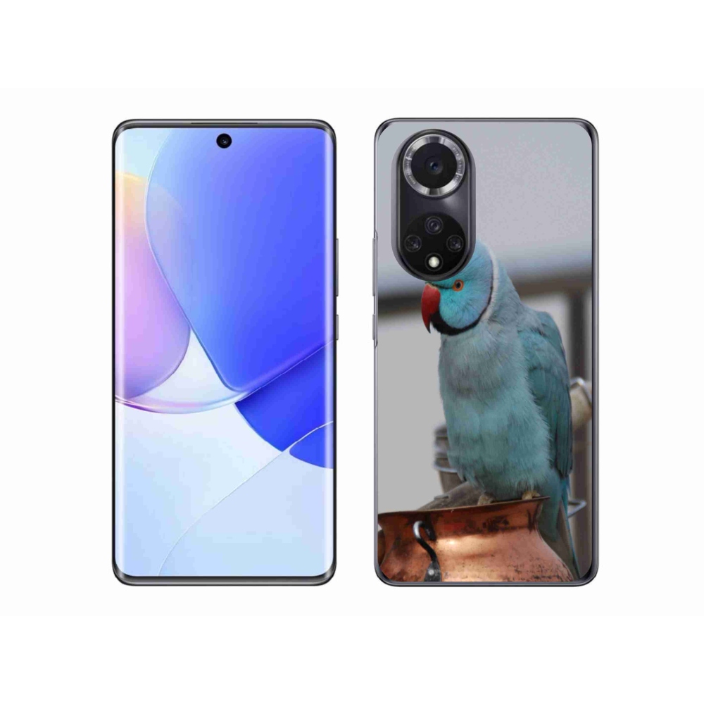 Gelový kryt mmCase na Honor 50 - papoušek alexandr modrý