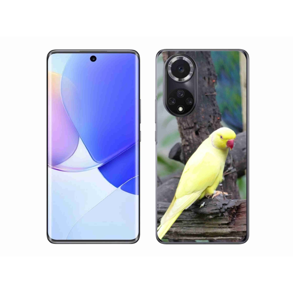Gelový kryt mmCase na Honor 50 - papoušek alexandr žlutý