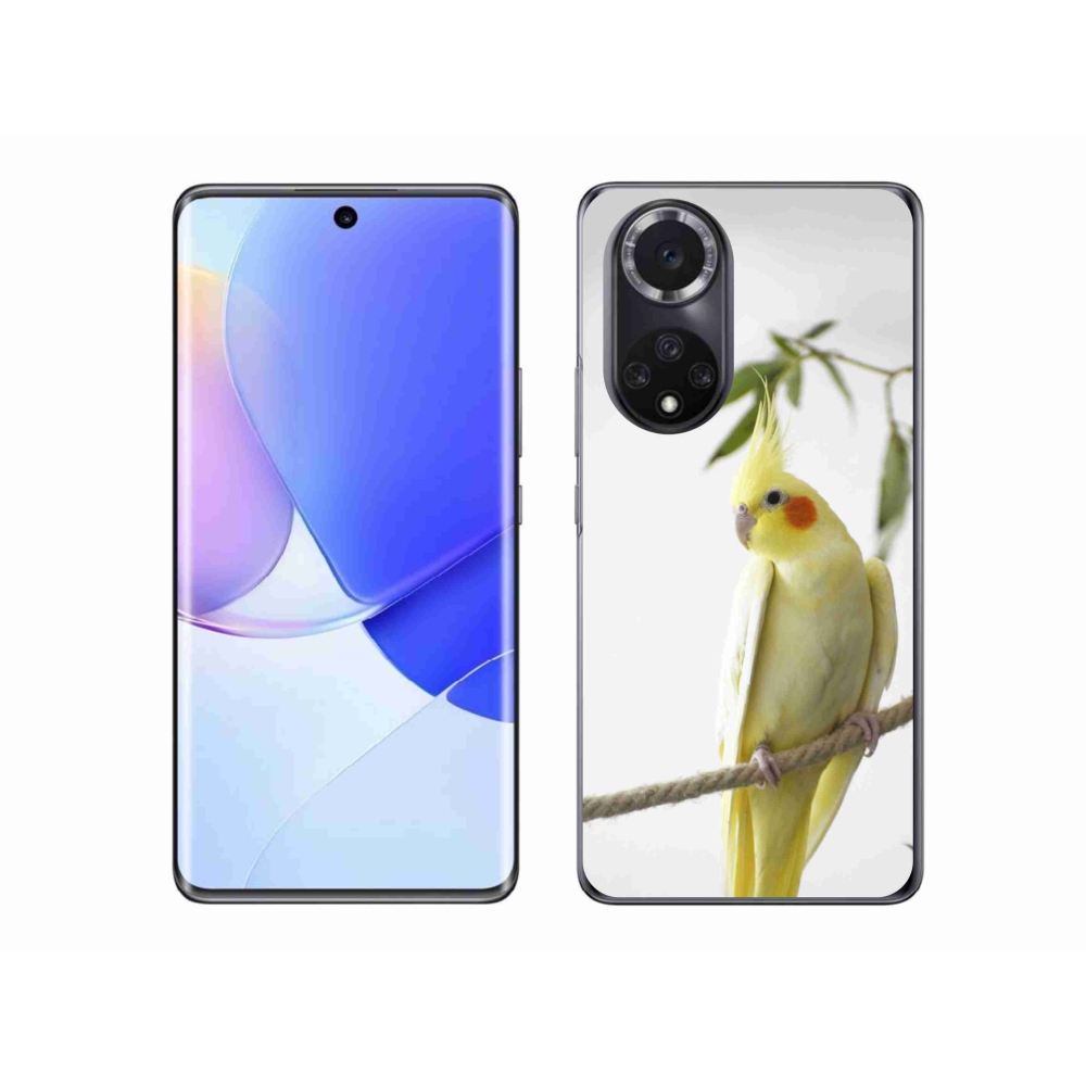 Gelový kryt mmCase na Honor 50 - papoušek korela chocholatá