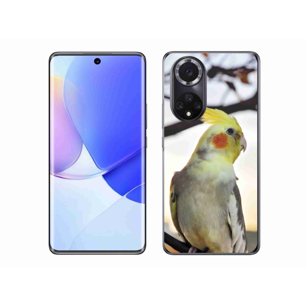 Gelový kryt mmCase na Honor 50 - papoušek korela
