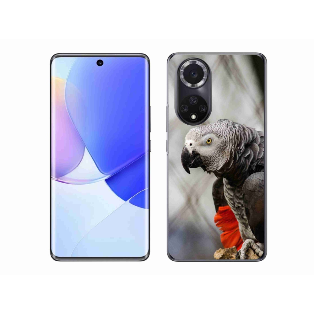 Gelový kryt mmCase na Honor 50 - papoušek žako 3