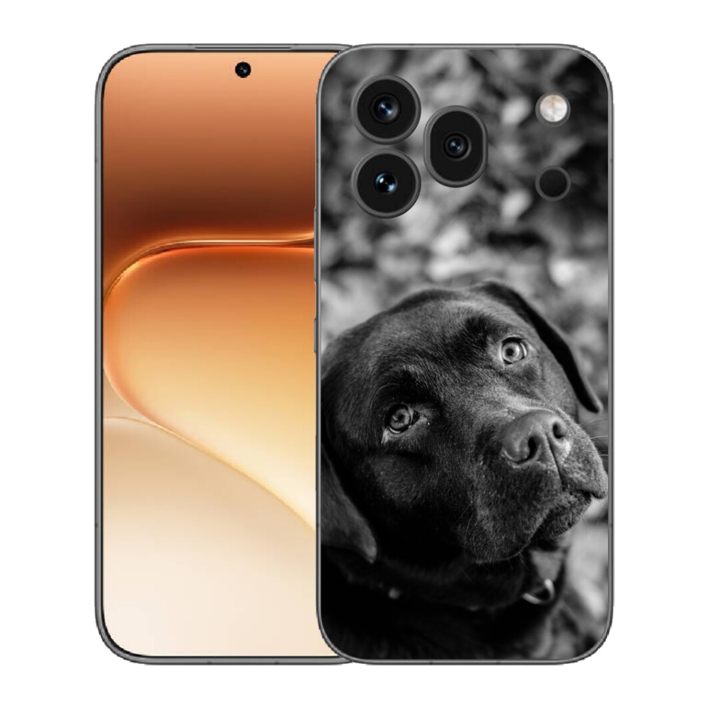 Gelový kryt mmCase na Honor 600 Pro - labrador