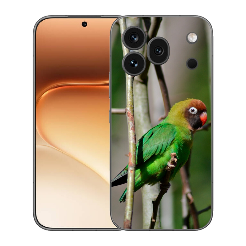Gelový kryt mmCase na Honor 600 Pro - papoušek agapornis
