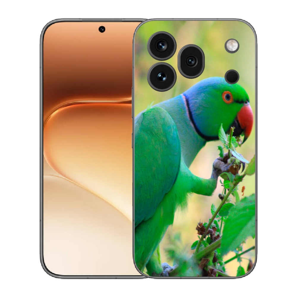 Gelový kryt mmCase na Honor 600 Pro - papoušek alexandr