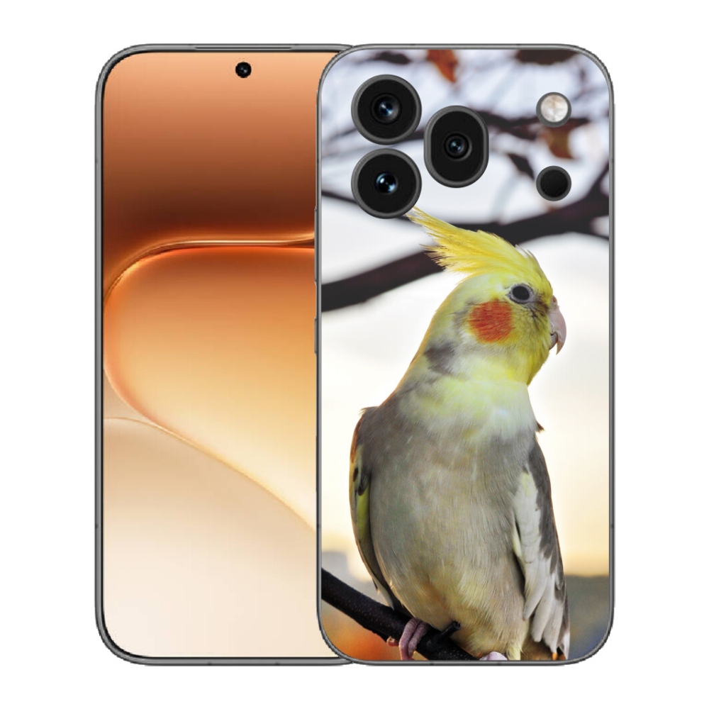 Gelový kryt mmCase na Honor 600 Pro - papoušek korela