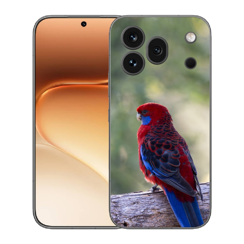 Gelový kryt mmCase na Honor 600 Pro - papoušek rosela