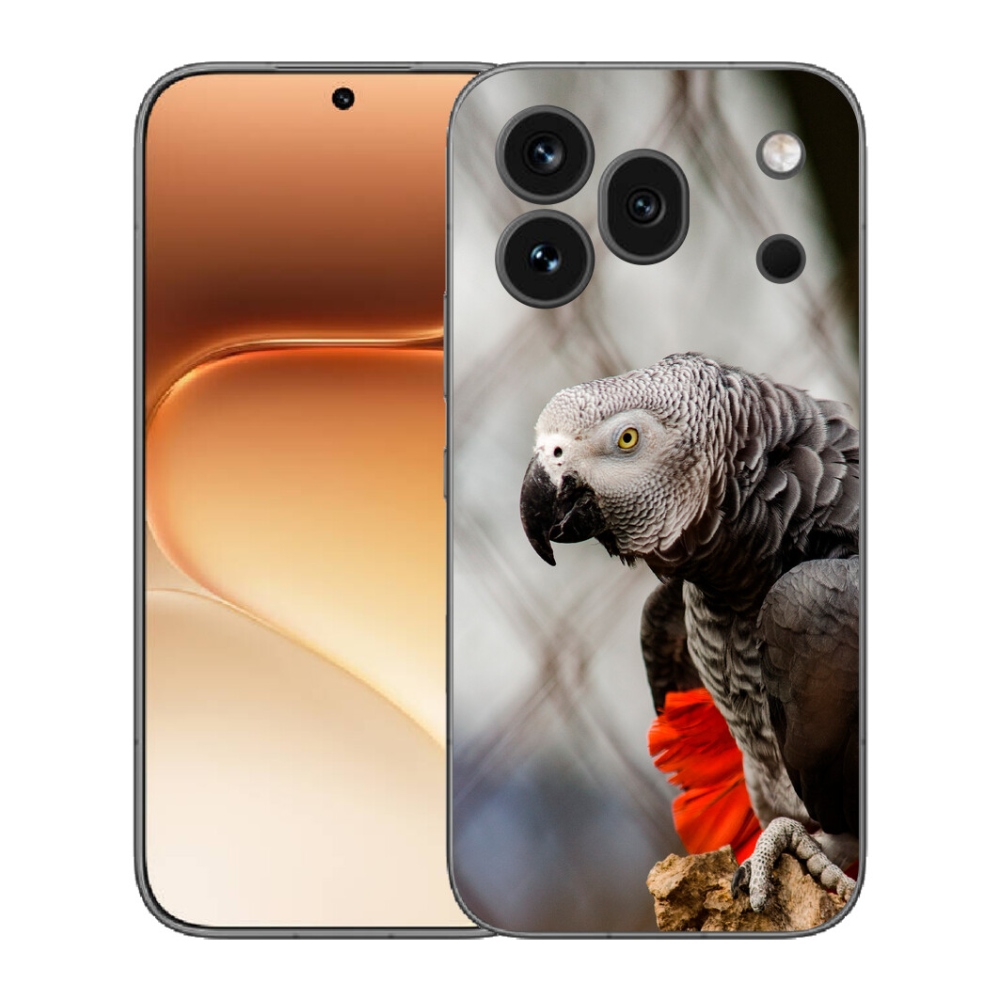 Gelový kryt mmCase na Honor 600 Pro - papoušek žako 3