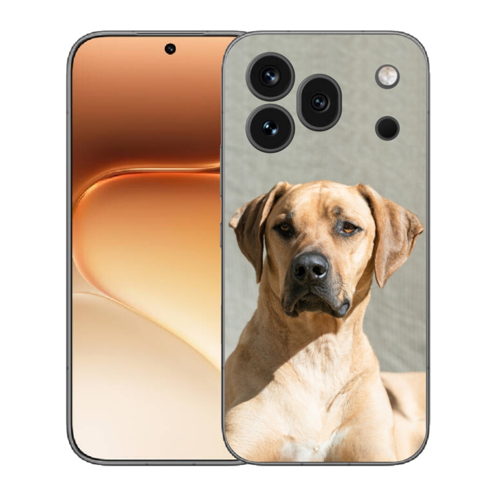 Gelový kryt mmCase na Honor 600 Pro - ridgeback