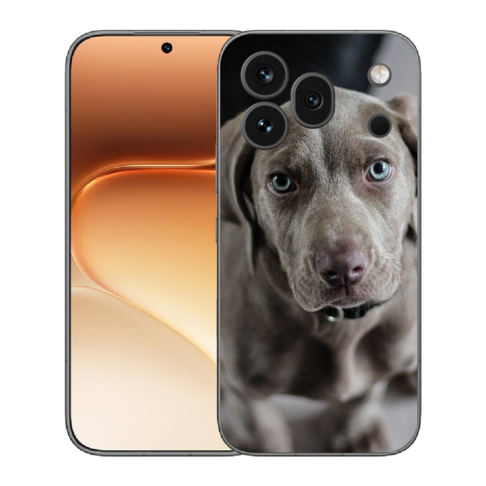 Gelový kryt mmCase na Honor 600 Pro - výmarský ohař