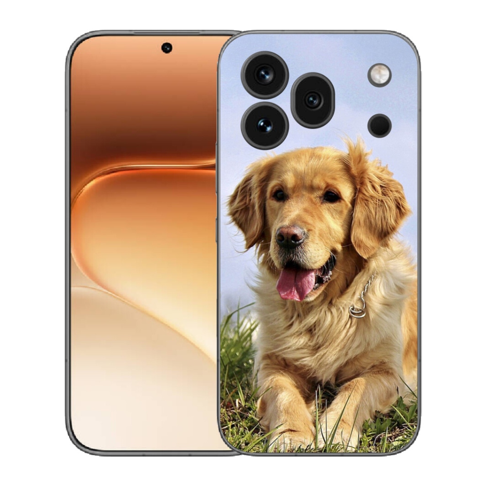 Gelový kryt mmCase na Honor 600 Pro - zlatý retrívr