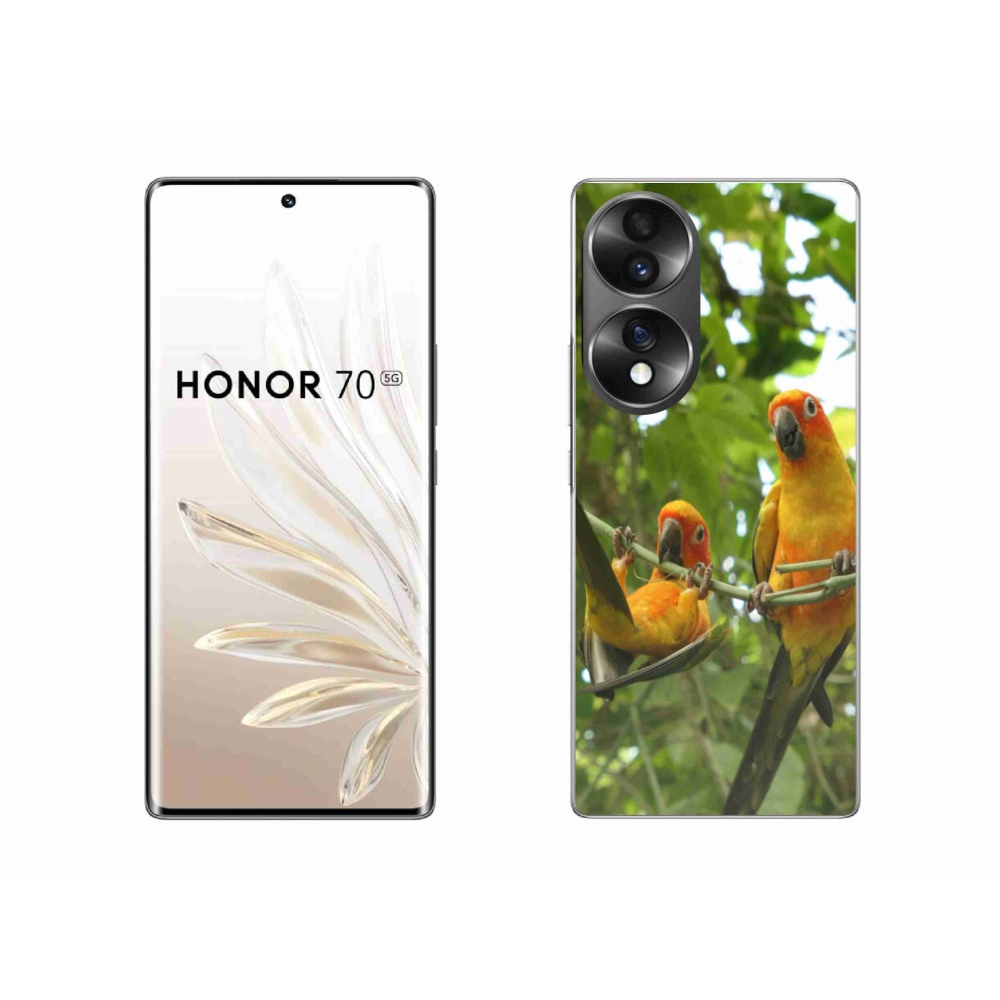 Gelový kryt mmCase na Honor 70 - papoušci aratingy