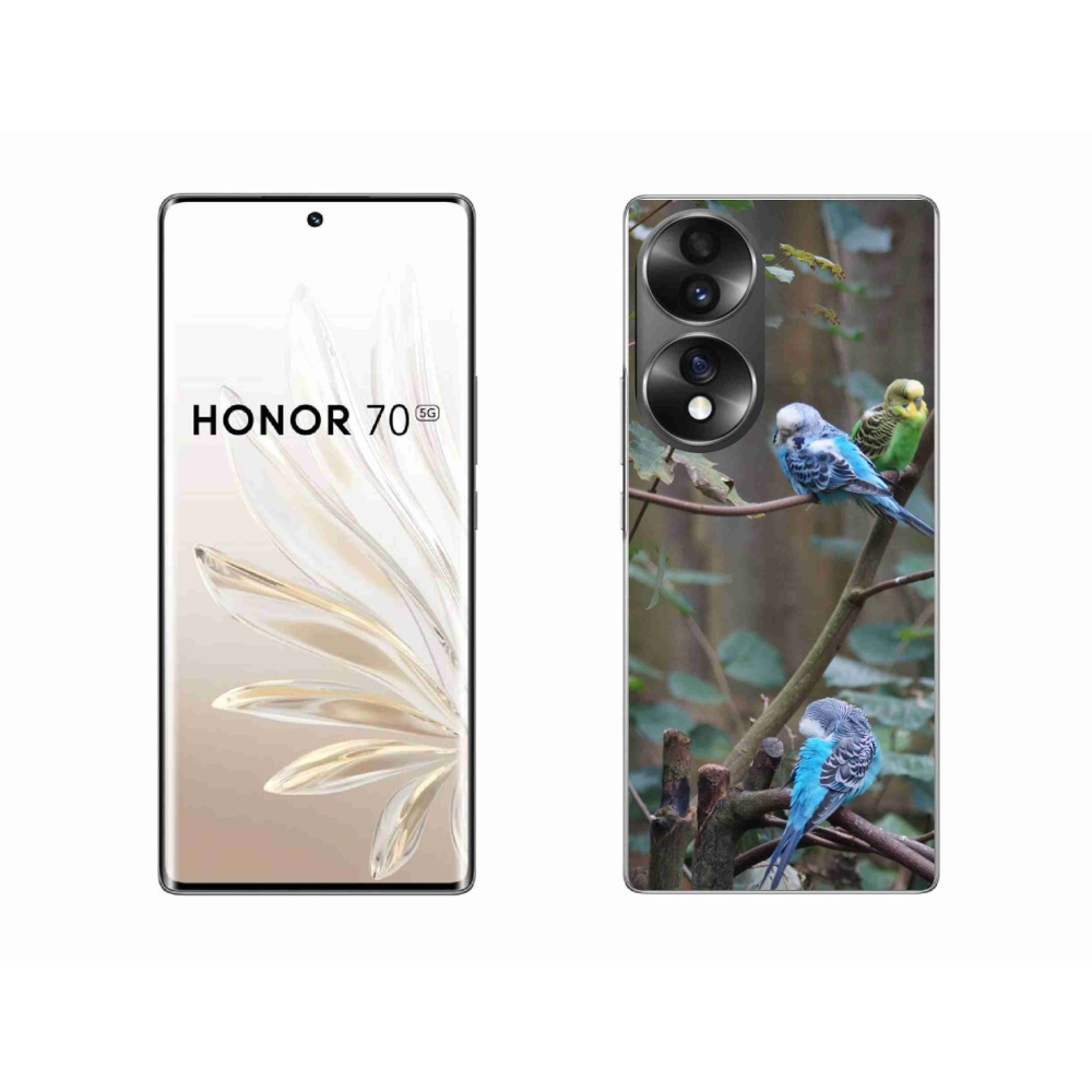 Gelový kryt mmCase na Honor 70 - papoušci na větvi