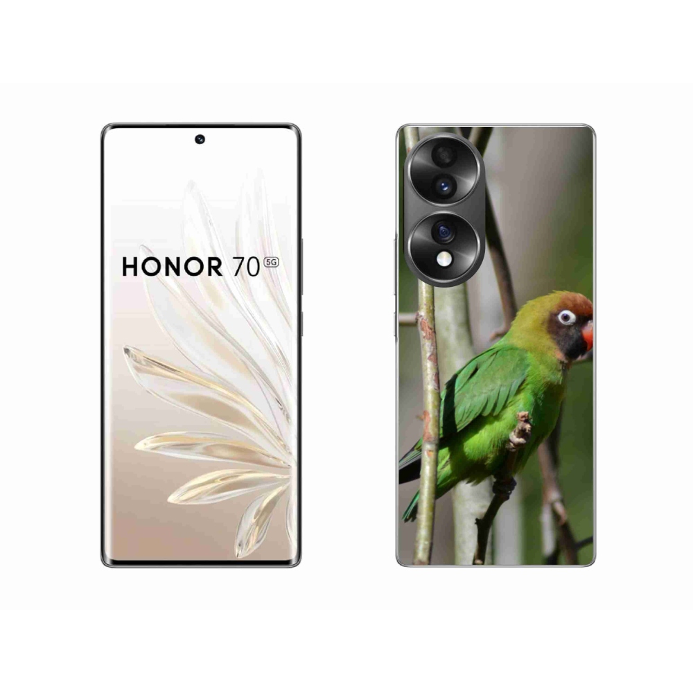Gelový kryt mmCase na Honor 70 - papoušek agapornis
