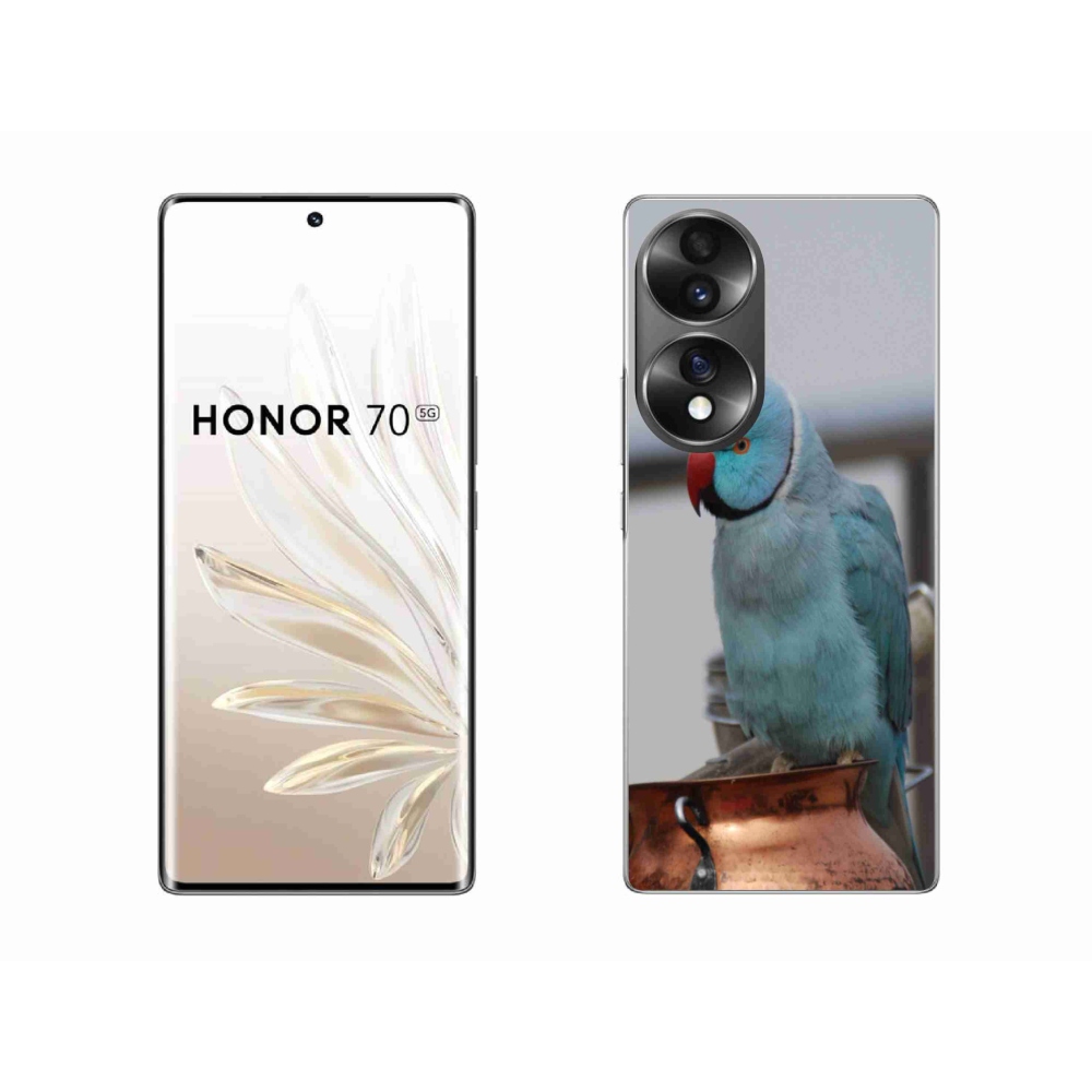 Gelový kryt mmCase na Honor 70 - papoušek alexandr modrý