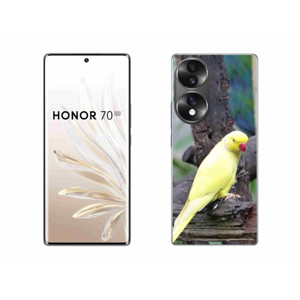 Gelový kryt mmCase na Honor 70 - papoušek alexandr žlutý